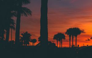 Preview wallpaper sunset, palm trees, silhouette