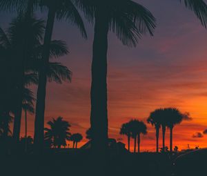 Preview wallpaper sunset, palm trees, silhouette
