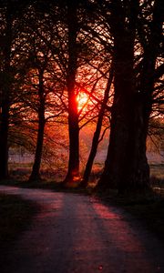 Preview wallpaper sunset, path, trees, dark, nature