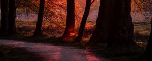 Preview wallpaper sunset, path, trees, dark, nature