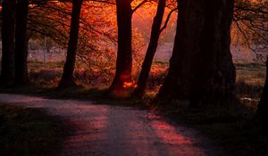 Preview wallpaper sunset, path, trees, dark, nature