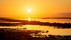 Preview wallpaper sunset, river, shore, sun, light, dusk