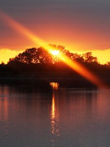 Preview wallpaper sunset, river, trees, light