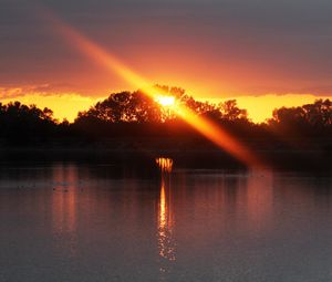 Preview wallpaper sunset, river, trees, light