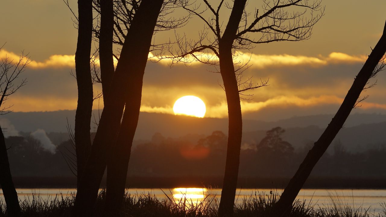 Wallpaper sunset, river, trees, sun, grass