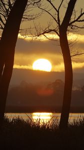 Preview wallpaper sunset, river, trees, sun, grass