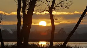 Preview wallpaper sunset, river, trees, sun, grass