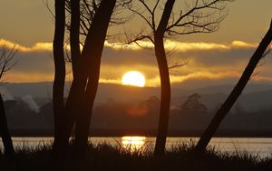 Preview wallpaper sunset, river, trees, sun, grass