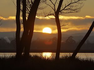 Preview wallpaper sunset, river, trees, sun, grass