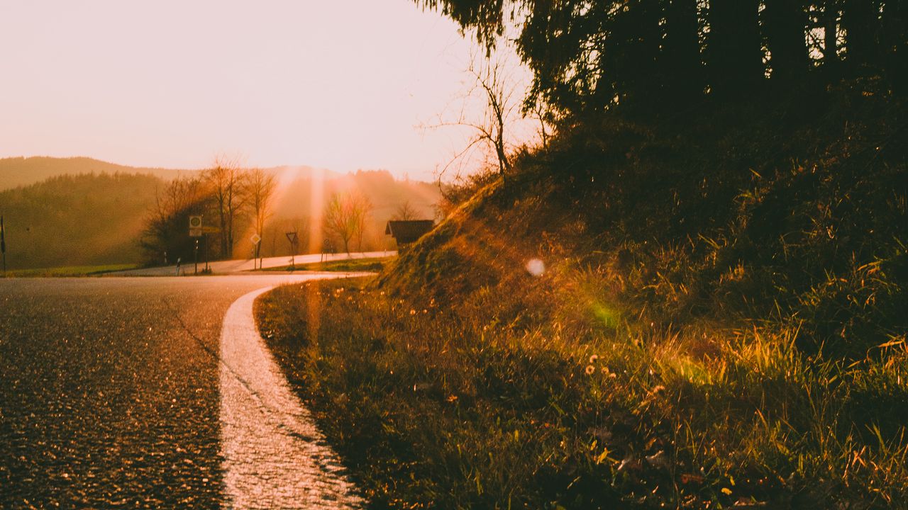 Wallpaper sunset, road, forest, grass, glare hd, picture, image