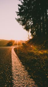 Preview wallpaper sunset, road, forest, grass, glare