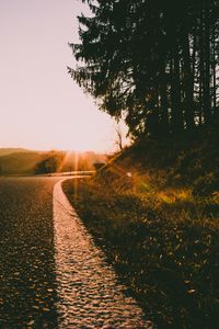 Preview wallpaper sunset, road, forest, grass, glare