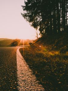 Preview wallpaper sunset, road, forest, grass, glare