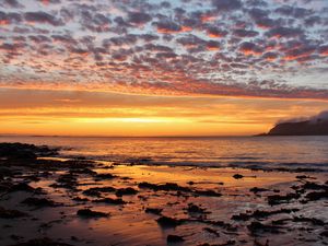 Preview wallpaper sunset, sea, beach, dusk