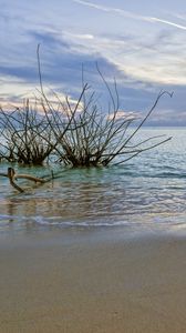 Preview wallpaper sunset, sea, beach, landscape