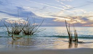 Preview wallpaper sunset, sea, beach, landscape