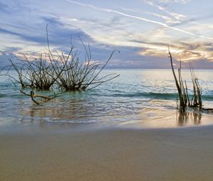 Preview wallpaper sunset, sea, beach, landscape