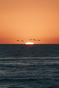 Preview wallpaper sunset, sea, birds, sun, dusk