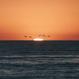 Preview wallpaper sunset, sea, birds, sun, dusk