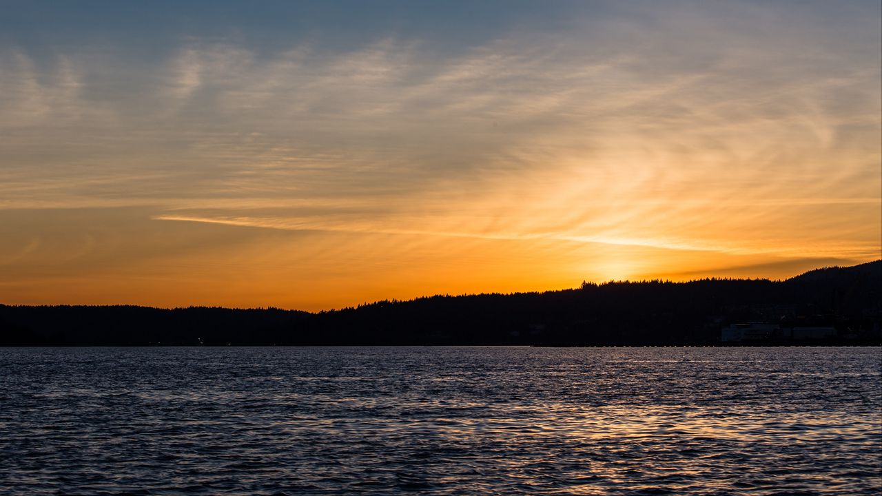Wallpaper sunset, sea, glare, forest, trees