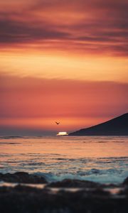 Preview wallpaper sunset, sea, horizon, bird, waves