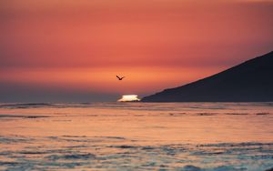 Preview wallpaper sunset, sea, horizon, bird, waves