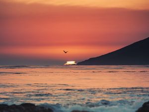 Preview wallpaper sunset, sea, horizon, bird, waves