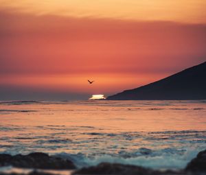 Preview wallpaper sunset, sea, horizon, bird, waves