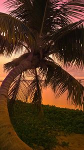 Preview wallpaper sunset, sea, palm trees, landscape