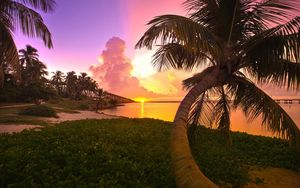 Preview wallpaper sunset, sea, palm trees, landscape