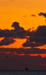 Preview wallpaper sunset, sea, ship, birds, clouds