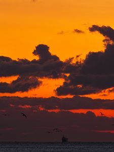 Preview wallpaper sunset, sea, ship, birds, clouds