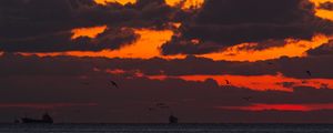 Preview wallpaper sunset, sea, ship, birds, clouds