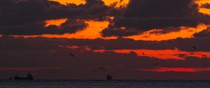 Preview wallpaper sunset, sea, ship, birds, clouds