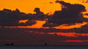 Preview wallpaper sunset, sea, ship, birds, clouds