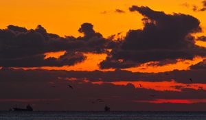 Preview wallpaper sunset, sea, ship, birds, clouds