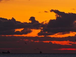 Preview wallpaper sunset, sea, ship, birds, clouds