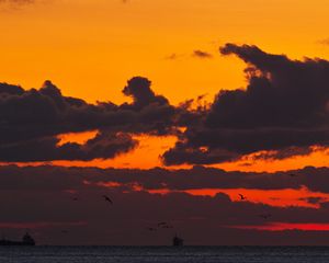 Preview wallpaper sunset, sea, ship, birds, clouds