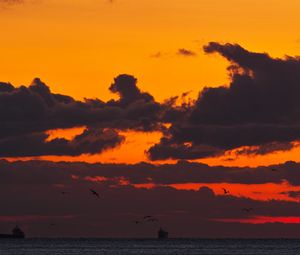 Preview wallpaper sunset, sea, ship, birds, clouds