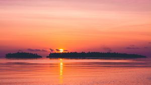 Preview wallpaper sunset, sea, skyline, trees, sky