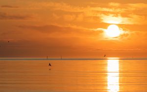 Preview wallpaper sunset, sea, sun, clouds, reflection