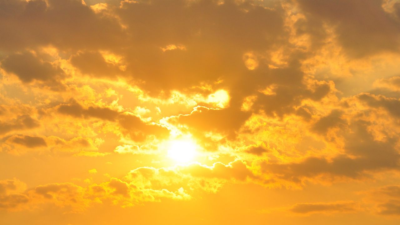 Wallpaper sunset, seagull, hills, horizon