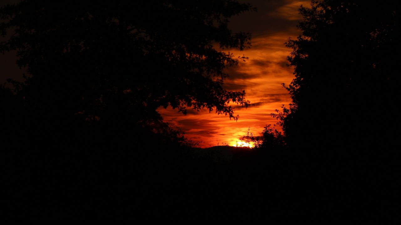 Wallpaper sunset, silhouette, branches, black