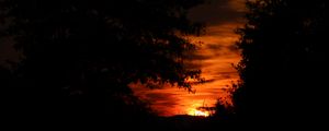 Preview wallpaper sunset, silhouette, branches, black