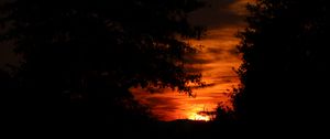 Preview wallpaper sunset, silhouette, branches, black