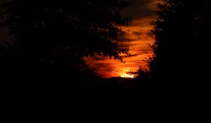 Preview wallpaper sunset, silhouette, branches, black