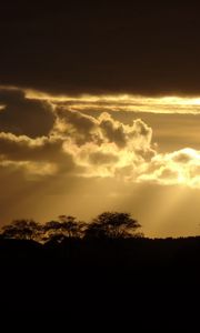 Preview wallpaper sunset, silhouette, trees, rays