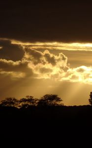 Preview wallpaper sunset, silhouette, trees, rays