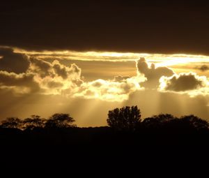 Preview wallpaper sunset, silhouette, trees, rays
