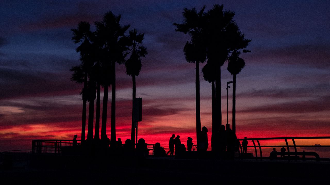 Wallpaper sunset, silhouettes, palm trees, people, tropics, sky